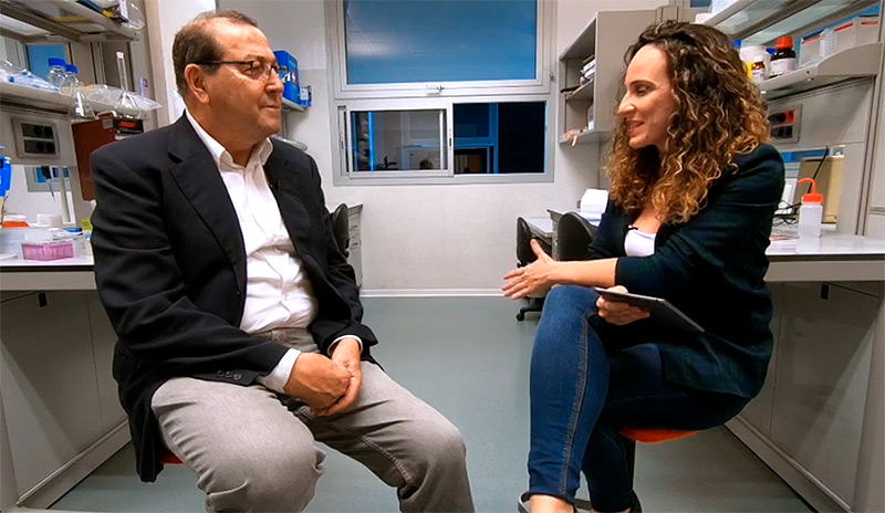 La investigación liderada por Nicolás Díaz Chico avanza hacia un nuevo tratamiento contra el cáncer de mama triple negativo